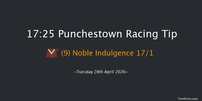 Punchestown 17-25 16f Wed 18th Feb 2026