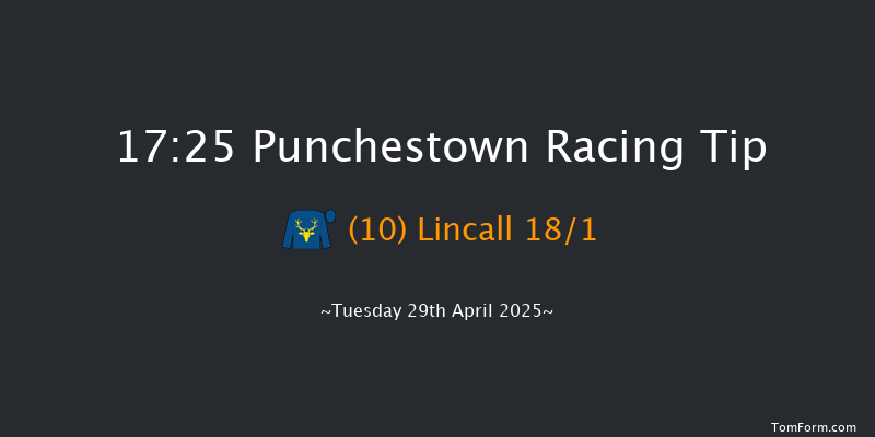Punchestown 17-25 16f Mon 24th Feb 2025
