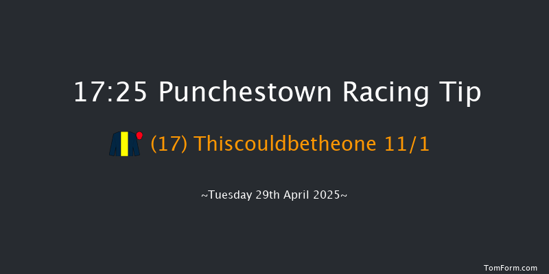 Punchestown 17-25 16f Mon 24th Feb 2025