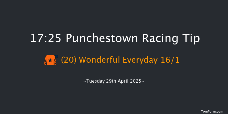 Punchestown 17-25 16f Mon 24th Feb 2025