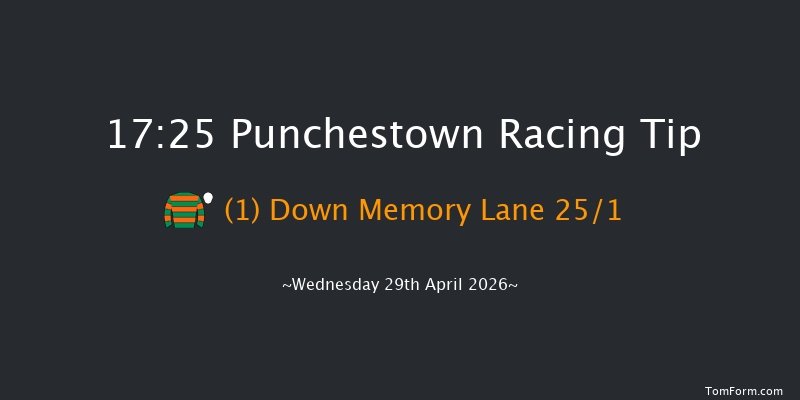 Punchestown 17-25 (Class 1) 20f Tue 28th Apr 2026