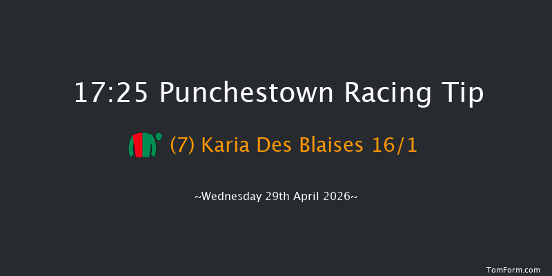 Punchestown 17-25 (Class 1) 20f Tue 28th Apr 2026