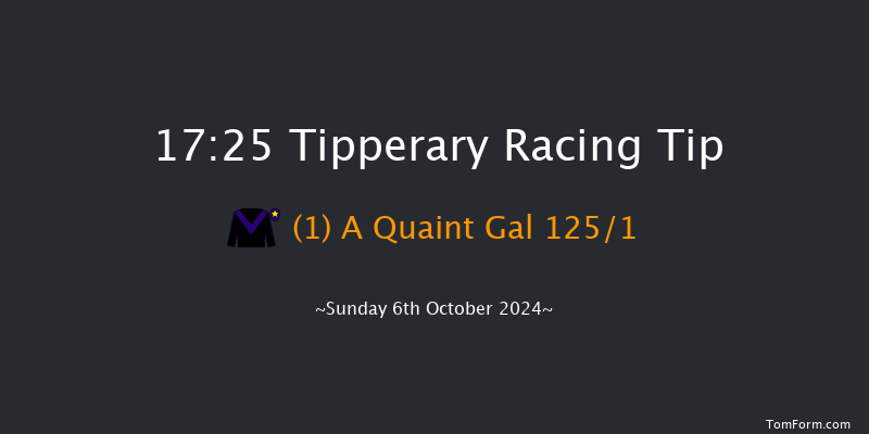 Tipperary  17:25 NH Flat Race 16f Sun 1st Sep 2024