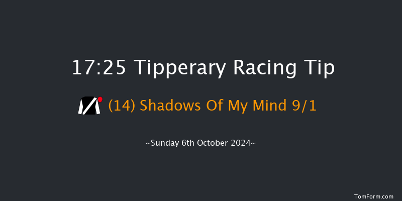 Tipperary  17:25 NH Flat Race 16f Sun 1st Sep 2024