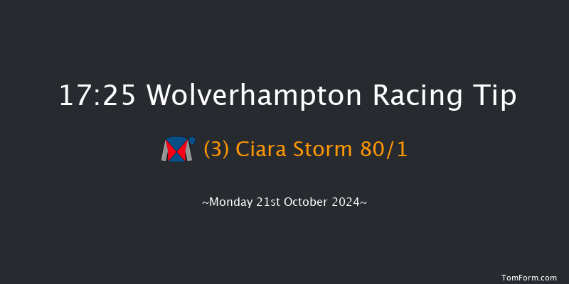 Wolverhampton  17:25 Handicap (Class 6) 10f Sat 19th Oct 2024