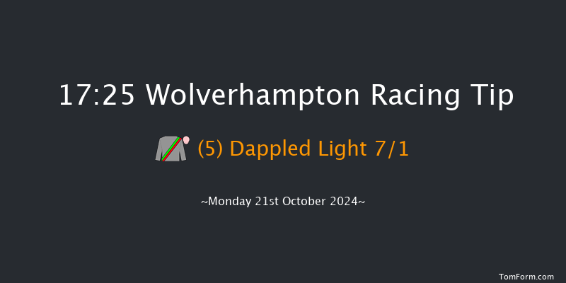 Wolverhampton  17:25 Handicap (Class 6) 10f Sat 19th Oct 2024