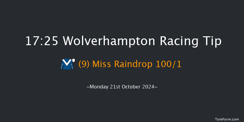 Wolverhampton  17:25 Handicap (Class 6) 10f Sat 19th Oct 2024