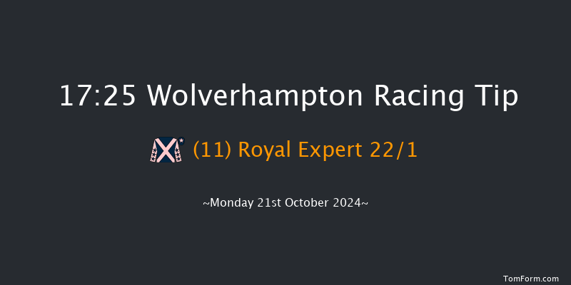 Wolverhampton  17:25 Handicap (Class 6) 10f Sat 19th Oct 2024