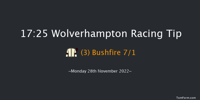 Wolverhampton 17:25 Handicap (Class 5) 10f Sat 26th Nov 2022