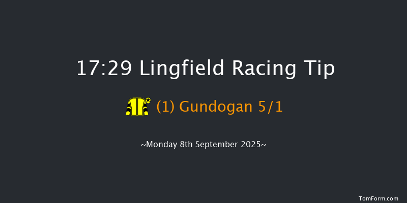Lingfield 17-29 (Class 6) 8f Thu 4th Sep 2025