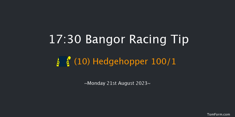 Bangor 17:30 Handicap Hurdle (Class 5) 23f Fri 4th Aug 2023