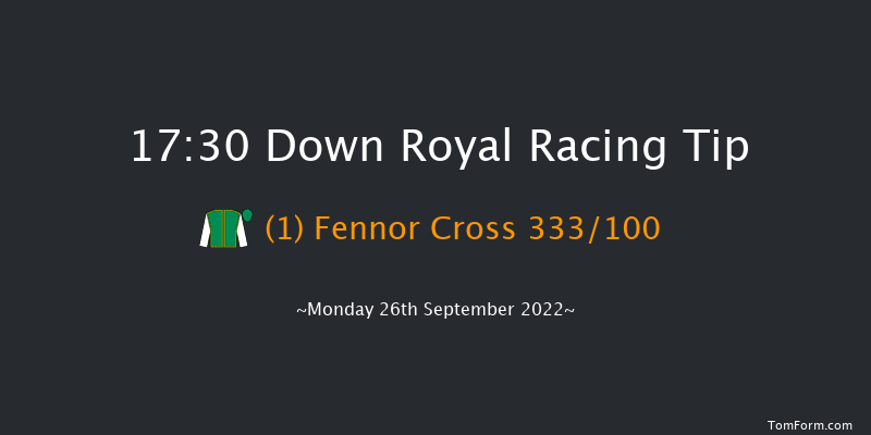 Down Royal 17:30 Handicap 13f Fri 2nd Sep 2022