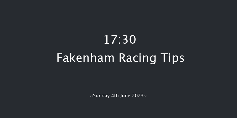 Fakenham 17:30 Handicap Hurdle (Class 5) 23f Tue 9th May 2023