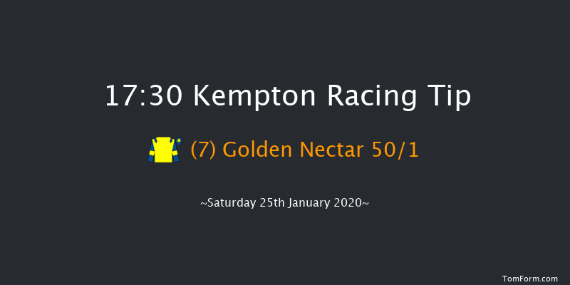 Kempton 17:30 Handicap (Class 6) 10f Wed 22nd Jan 2020