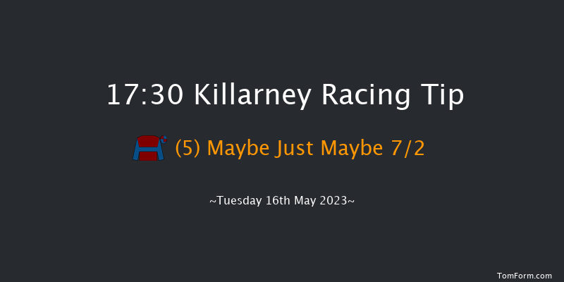 Killarney 17:30 Stakes 8f Mon 15th May 2023