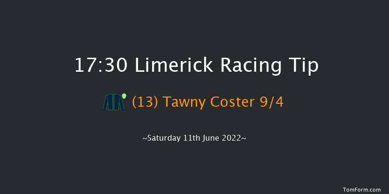 Limerick 17:30 Maiden 8f Fri 27th May 2022