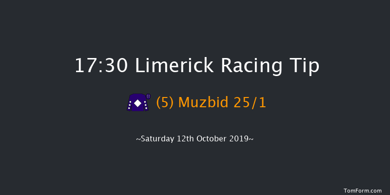Limerick 17:30 Handicap 8f Sun 7th Jul 2019