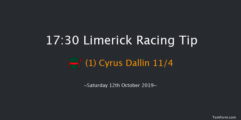 Limerick 17:30 Handicap 8f Sun 7th Jul 2019