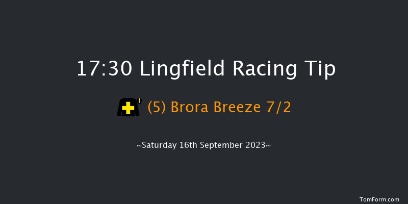 Lingfield 17:30 Handicap (Class 5) 13f Wed 6th Sep 2023