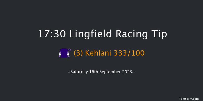 Lingfield 17:30 Handicap (Class 5) 13f Wed 6th Sep 2023