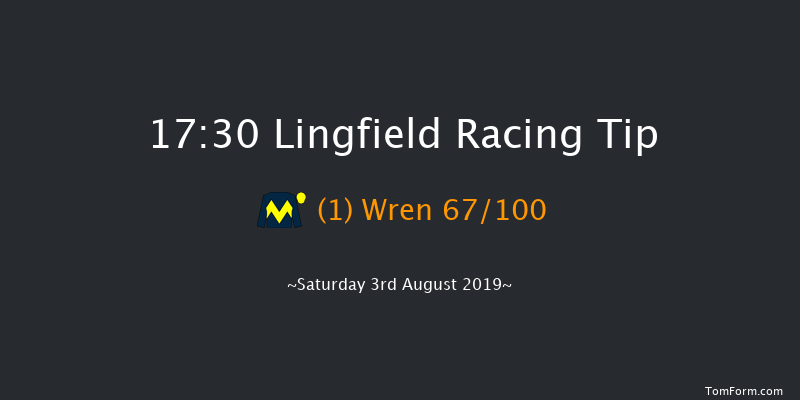 Lingfield 17:30 Stakes (Class 6) 8f Wed 24th Jul 2019
