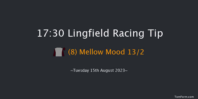 Lingfield 17:30 Stakes (Class 6) 13f Sat 12th Aug 2023