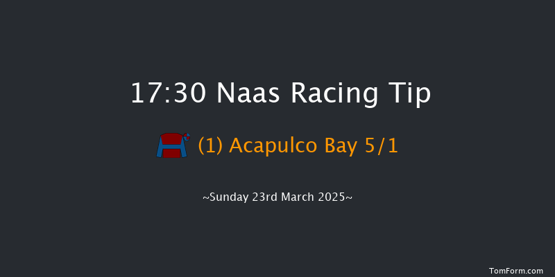 Naas  17:30 Stakes 8f Sun 9th Mar 2025