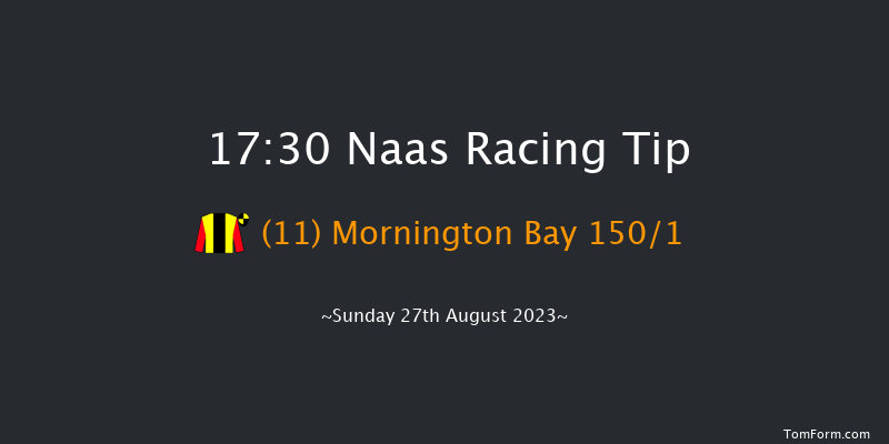 Naas 17:30 Stakes 10f Mon 7th Aug 2023