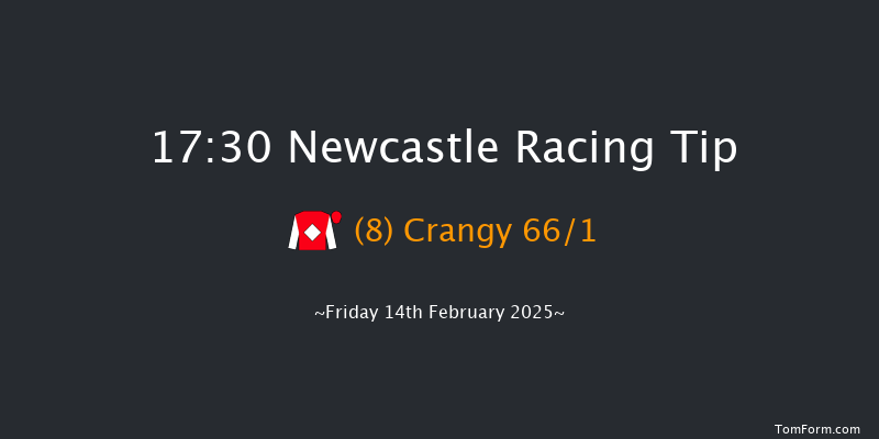 Newcastle  17:30 Handicap (Class 6) 7f Thu 13th Feb 2025