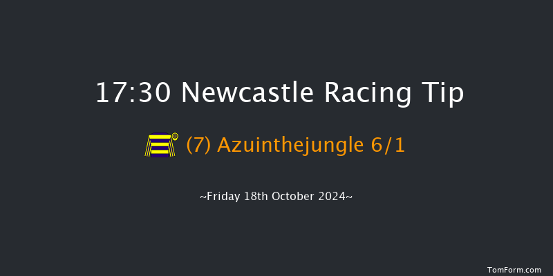 Newcastle  17:30 Handicap (Class 6) 5f Tue 15th Oct 2024