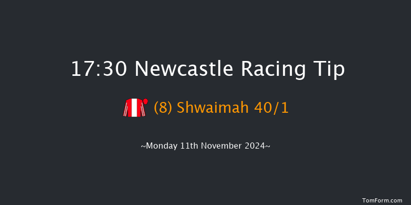 Newcastle  17:30 Stakes (Class 4) 7f Fri 8th Nov 2024