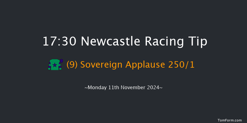 Newcastle  17:30 Stakes (Class 4) 7f Fri 8th Nov 2024