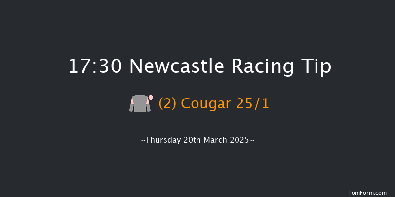 Newcastle  17:30 Handicap (Class 4) 10f Sat 15th Mar 2025
