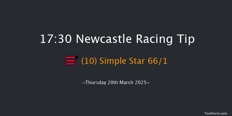 Newcastle  17:30 Handicap (Class 4) 10f Sat 15th Mar 2025