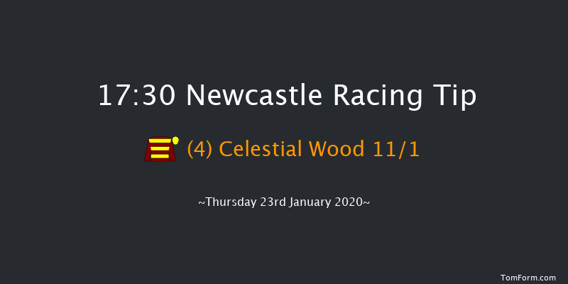 Newcastle 17:30 Stakes (Class 5) 7f Tue 21st Jan 2020