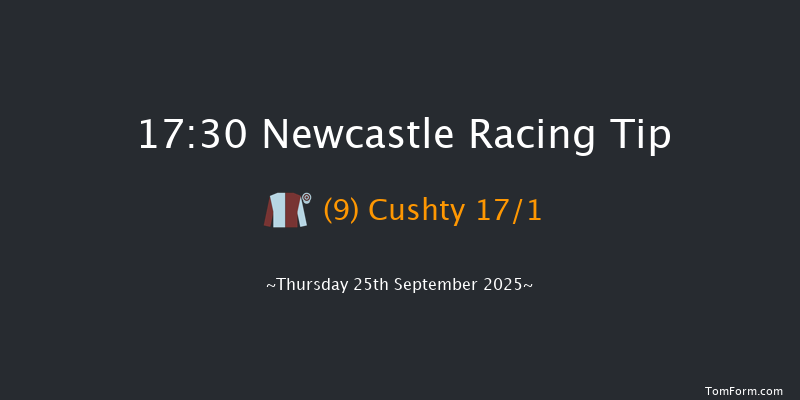 Newcastle 17-30 (Class 6) 12f Fri 19th Sep 2025