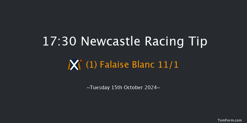 Newcastle  17:30 Handicap (Class 6) 7f Fri 4th Oct 2024