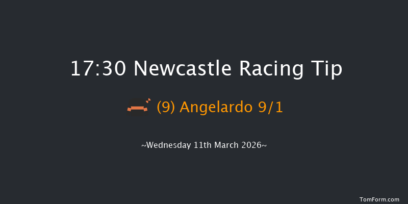 Newcastle 17-30 (Class 6) 16f Fri 6th Mar 2026