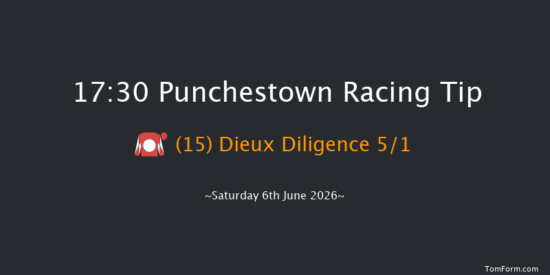 Punchestown 17-30 16f Wed 13th May 2026