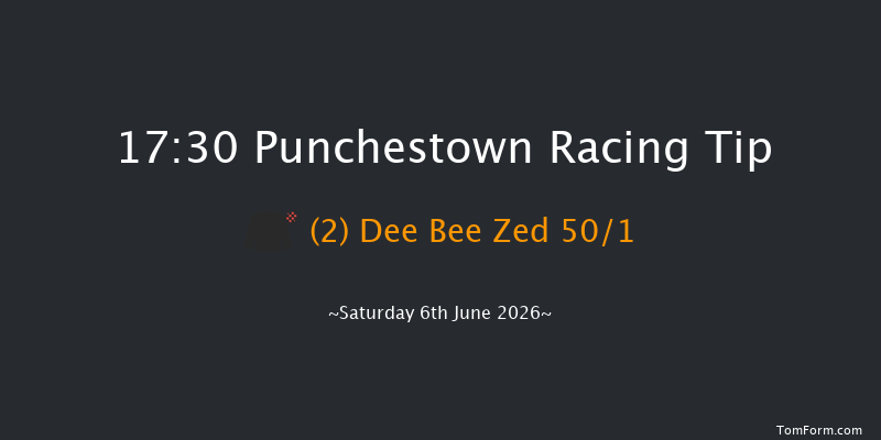 Punchestown 17-30 16f Wed 13th May 2026