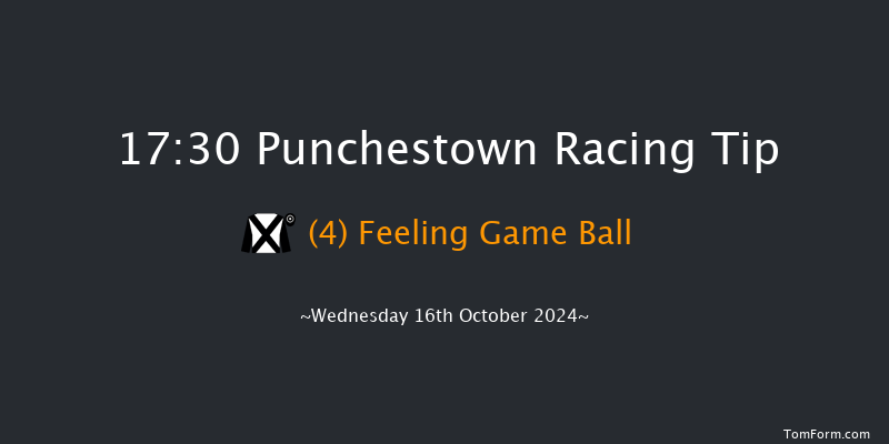 Punchestown  17:30 NH Flat Race 16f Tue 15th Oct 2024