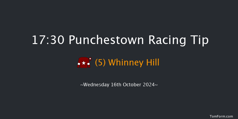 Punchestown  17:30 NH Flat Race 16f Tue 15th Oct 2024