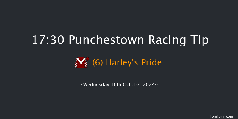 Punchestown  17:30 NH Flat Race 16f Tue 15th Oct 2024