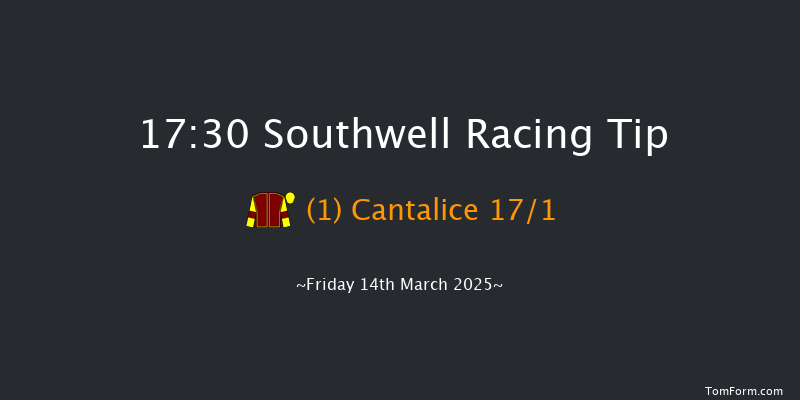Southwell  17:30 Stakes (Class 5) 11f Tue 11th Mar 2025