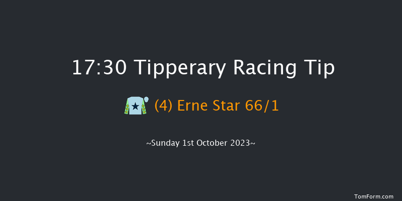 Tipperary 17:30 NH Flat Race 16f Sun 3rd Sep 2023