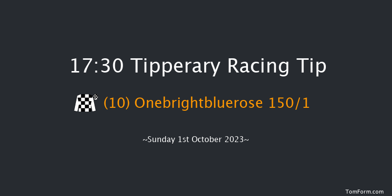 Tipperary 17:30 NH Flat Race 16f Sun 3rd Sep 2023