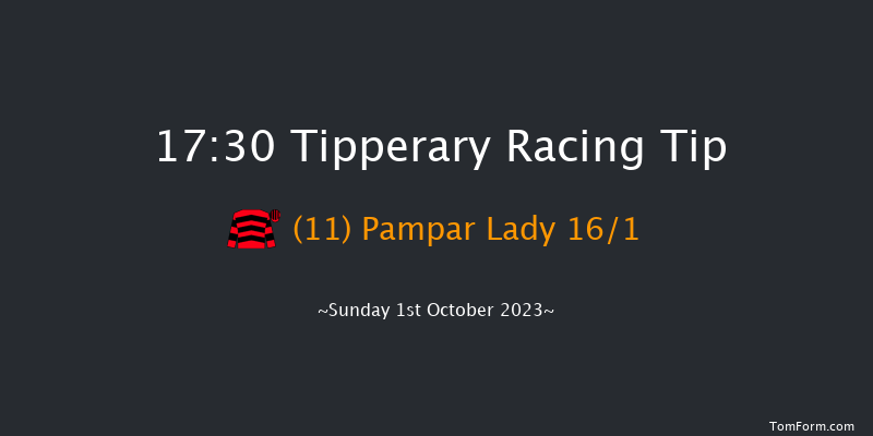Tipperary 17:30 NH Flat Race 16f Sun 3rd Sep 2023