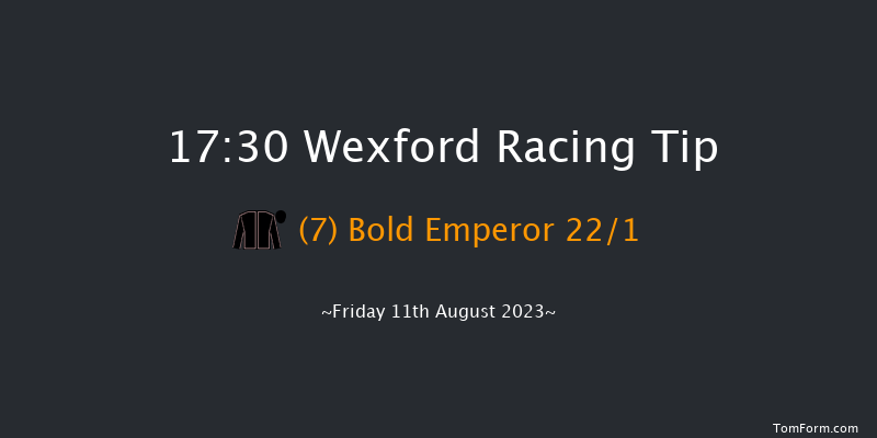 Wexford 17:30 Handicap Hurdle 20f Fri 7th Jul 2023