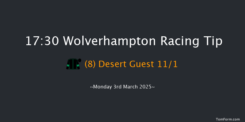 Wolverhampton  17:30 Handicap (Class 6) 12f Tue 25th Feb 2025