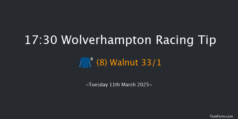 Wolverhampton  17:30 Maiden (Class 5) 6f Sat 8th Mar 2025